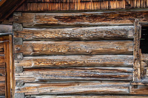 pine logs wall real texture ready for your architectural design