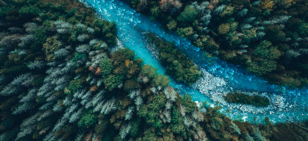 istock Drone aerial top view of mountain river and forest 1401022010