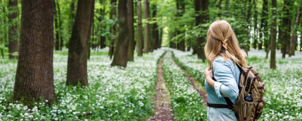 Tourist woman with backpack hiking on footpath in forest at spring. Woodland with flowers of wild garlic. Adventure in nature. Panoramic view