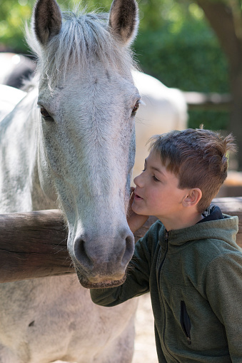 Young boy having nice moments with his white horse before riding it.