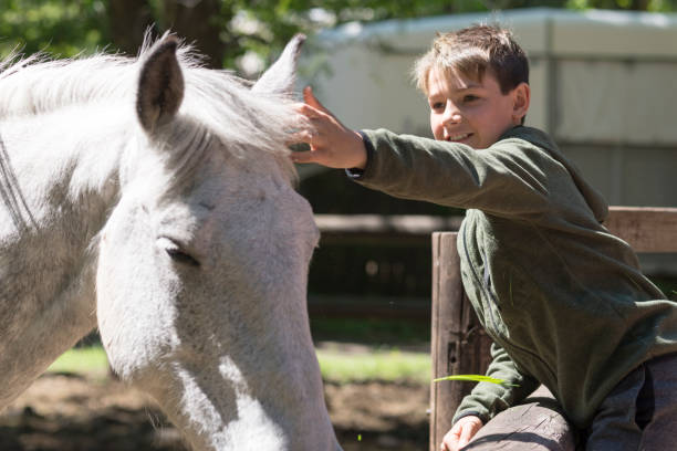 istock Boy interacting with his horse in the coral. 1401030160