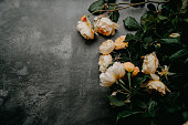 istock Peach roses on a dark background 1401032849