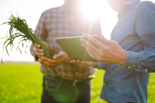 istock Smart farm. Two Farmer with a tablet on a green wheat field. 1401033718