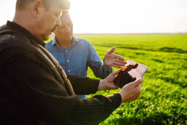 istock Smart farm. Two Farmer with a tablet on a green wheat field. 1401033720