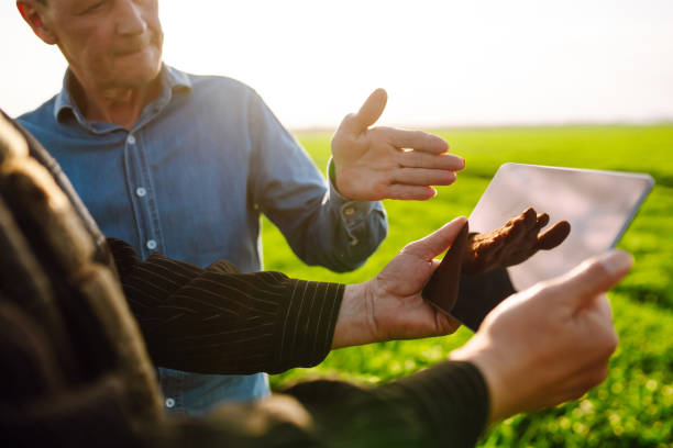 istock Smart farm. Two Farmer with a tablet on a green wheat field. 1401033764