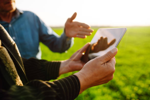 Smart farm. Two Farmer with a tablet on a green wheat field.