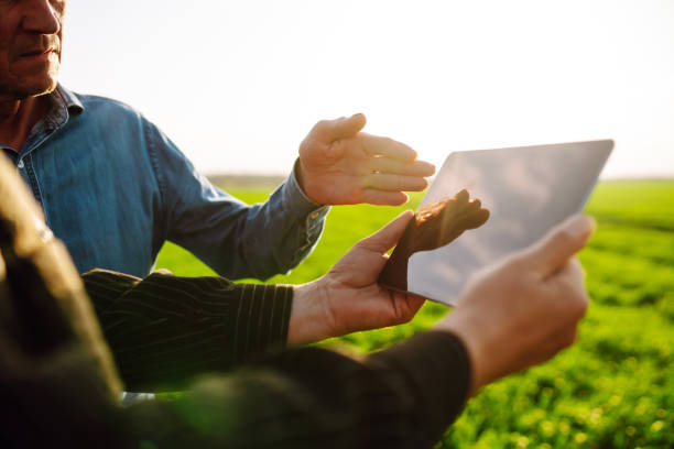 istock Smart farm. Two Farmer with a tablet on a green wheat field. 1401033938