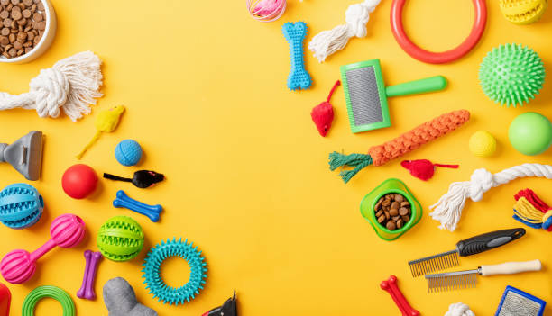istock Pet care concept, various pet accessories and tools on yellow background, flat lay 1401039534