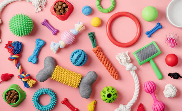 istock Pet care concept, various pet accessories and tools on pink background, flat lay 1401039550