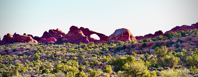 A portrait of the desert grass and a red rock arch