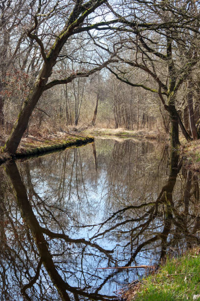 istock Ankeveense Plassen - Nature reserve in the Netherlands 1401040113