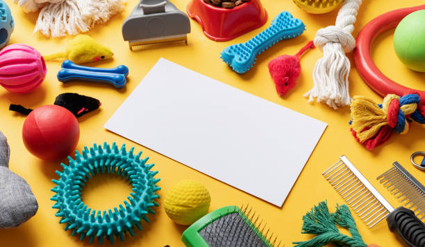 istock Pet care concept, various pet accessories and tools on yellow background with blank paper, high angle 1401040162