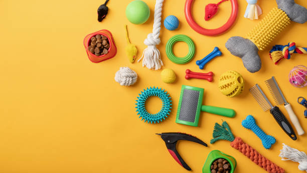 istock Pet care concept, various pet accessories and tools on yellow background, flat lay 1401040414