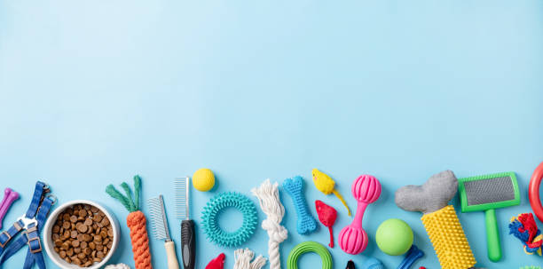 istock Pet care concept, various pet accessories on blue background, flat lay 1401040505