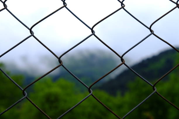 istock Nature through the wire fences 1401040531