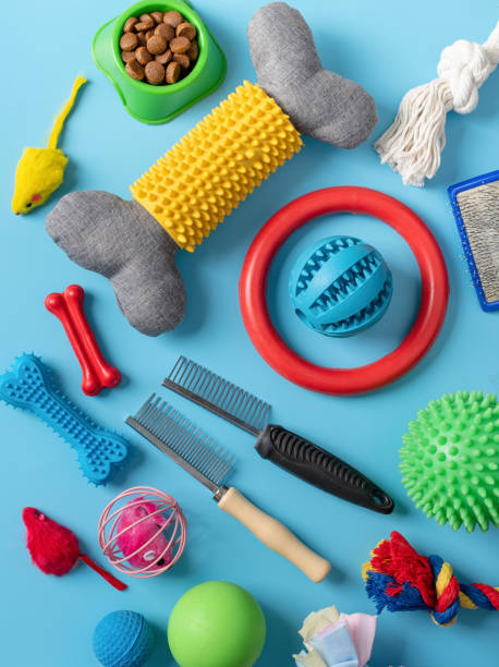 istock Pet care concept, various pet accessories and tools on blue background, flat lay 1401041179