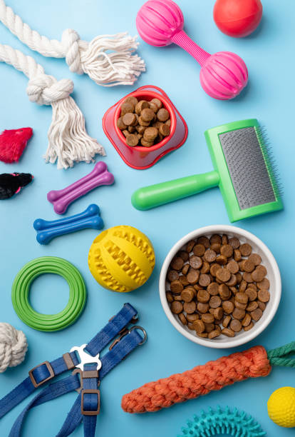 istock Pet care concept, various pet accessories and tools on blue background, flat lay 1401041215
