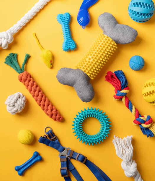 istock Pet care concept, various pet accessories and tools on yellow background, flat lay 1401041252