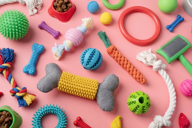 istock Pet care concept, various pet accessories and tools on pink background, flat lay 1401041320