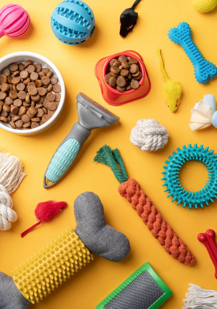 istock Pet care concept, various pet accessories and tools on yellow background, flat lay 1401042285