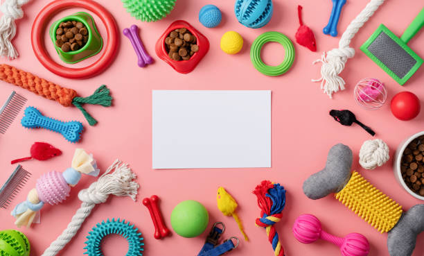 istock Pet care concept, various pet accessories and tools on pink background with blank paper, flat lay 1401042478