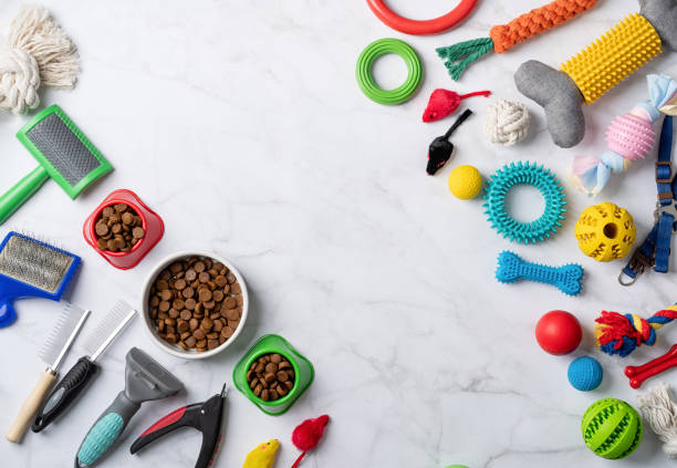 istock Pet care concept, various pet accessories and tools on white marble background, flat lay 1401043200