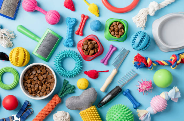 istock Pet care concept, various pet accessories and tools on blue background, flat lay 1401043400