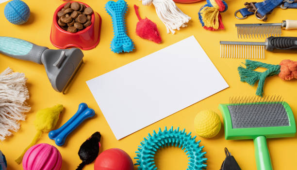 istock Pet care concept, various pet accessories and tools on yellow background with blank paper, high angle 1401043518