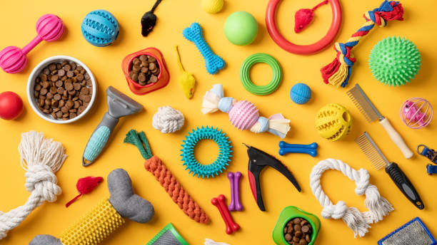 istock Pet care concept, various pet accessories and tools on yellow background, flat lay 1401043557