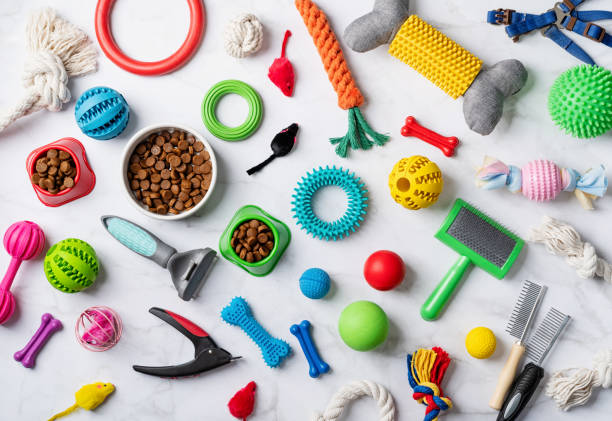 istock Pet care concept, various pet accessories and tools on white marble background, flat lay 1401044307
