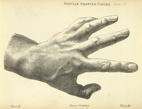 Vintage illustration of Sketching human hand, back with fingers spread, Victorian art figure drawing copies 19th Century