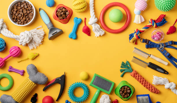 istock Pet care concept, various pet accessories and tools on yellow background, flat lay 1401044641