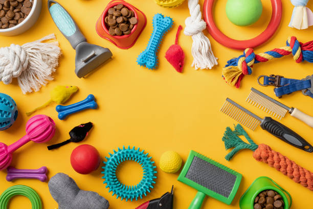 istock Pet care concept, various pet accessories and tools on yellow background, flat lay 1401044675