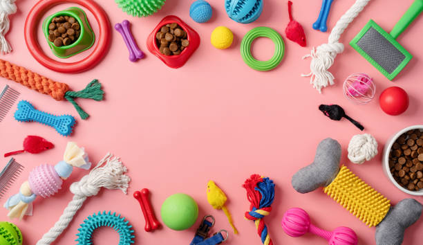 istock Pet care concept, various pet accessories and tools on pink background, flat lay 1401045305