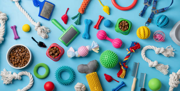 istock Pet care concept, various pet accessories and tools on blue background, flat lay 1401045576