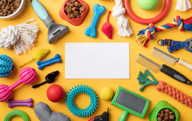 istock Pet care concept, various pet accessories and tools on yellow background with blank paper, flat lay 1401046203