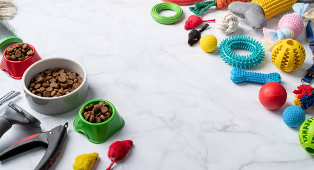 Pet care concept, various pet accessories and tools on white marble background, high angle