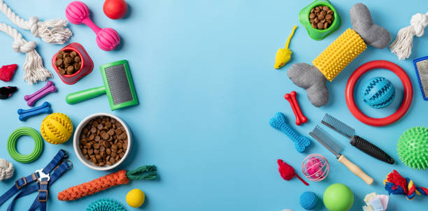 istock Pet care concept, various pet accessories on blue background, flat lay 1401046378