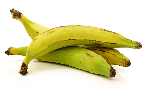 fresh still unripe plantain (baking) bananas fresh still unripe plantain (baking) bananas on a white background plantain stock pictures, royalty-free photos & images