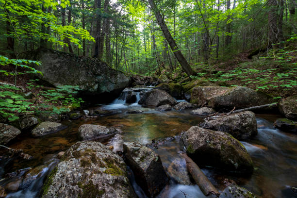 скользящая вода - white mountain national forest стоковые фото и изображения