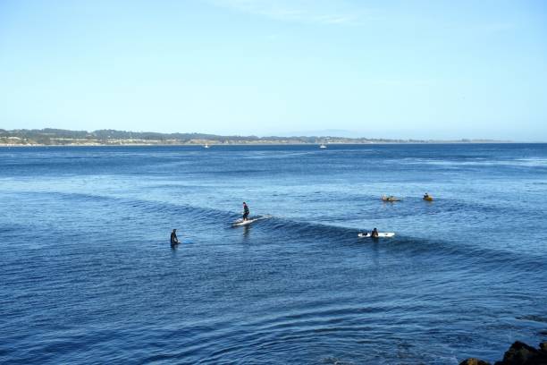 People enjoying a beautiful evening surfing in Monterey Bay, along the beachfront of Capitola, California, United States stock photo