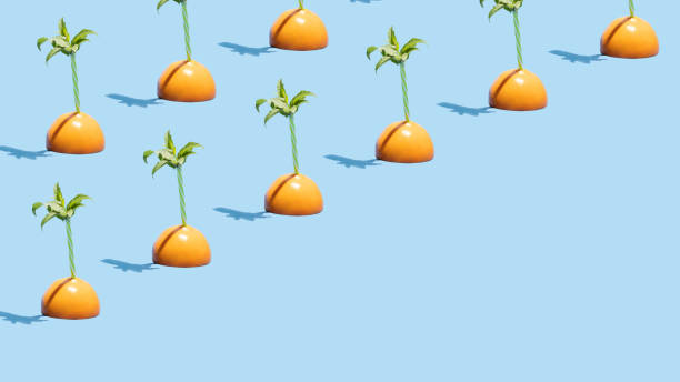 demi-orange avec de la paille et des feuilles de menthe sur fond bleu vif. composition estivale tropicale. concept d’aliment juteux minimal. modèle de vacances d’été créatif avec espace de copie. - grapefruit citrus fruit water fruit photos et images de collection