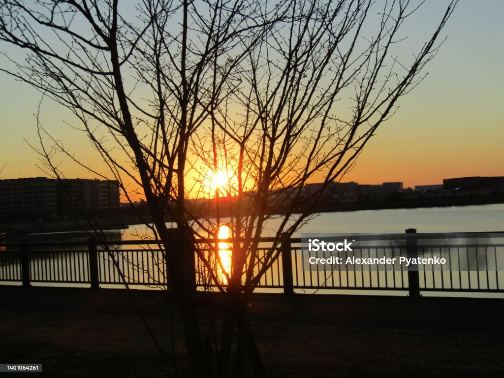 Japan. January. Sunset at Koshigaya Lake Town. Sunset at Koshigaya Lake town, Saitama Prefecture. Art Stock Photo