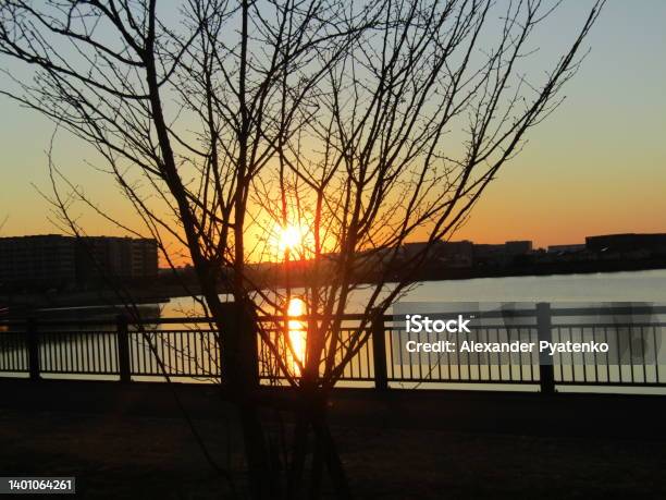 Japan January Sunset At Koshigaya Lake Town Stock Photo - Download Image Now - Art, Backgrounds, Beauty In Nature