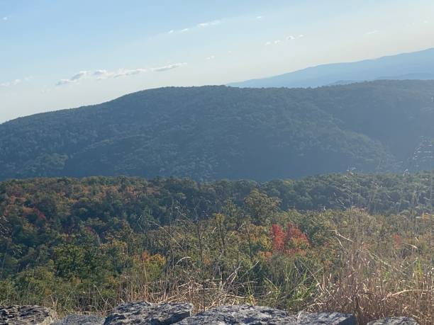 istock Shenandoah Valley via Skyline Drive 1401065169