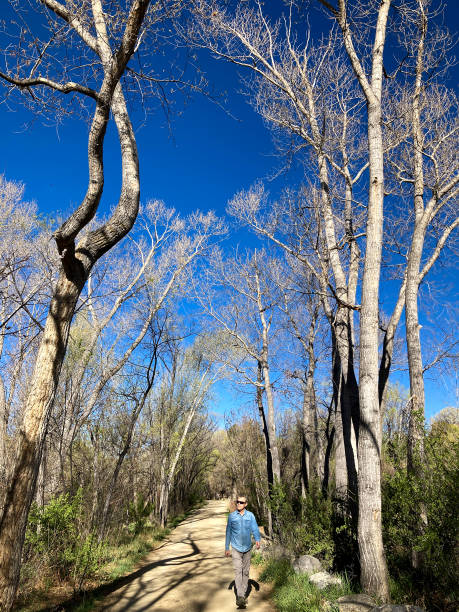 homme âgé marchant sur un chemin de terre, début du printemps, ciel bleu vibrant - senior adult outdoors wellbeing sky photos et images de collection