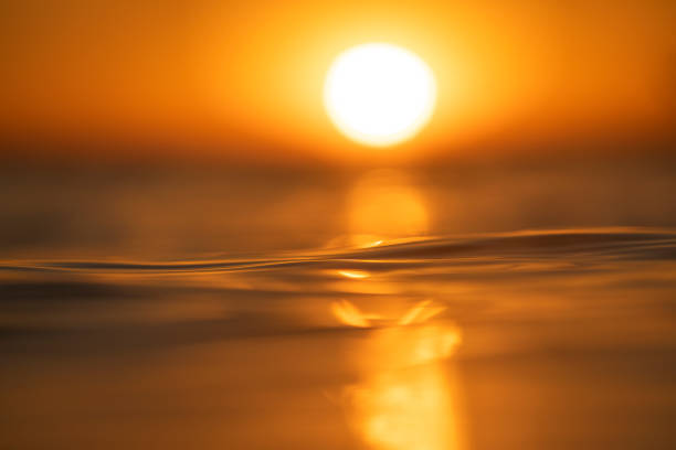 istock Shallow depth of field scene of sun setting over the ocean surface 1401072687