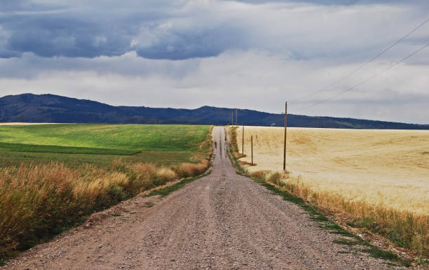 istock Dirt Road with Green and Golden Fields 1401075671