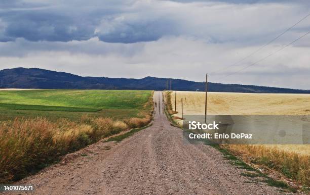 Dirt Road With Green And Golden Fields Stock Photo - Download Image Now - Idaho, Farm, Road