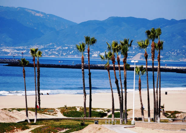 Los Angeles, California - December 29, 2022: Warm Winter Sunlight and Cityscape View at Venice Beach